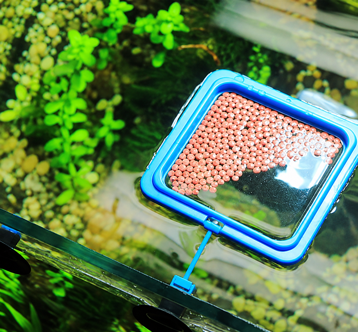 Floating Feeder Ring