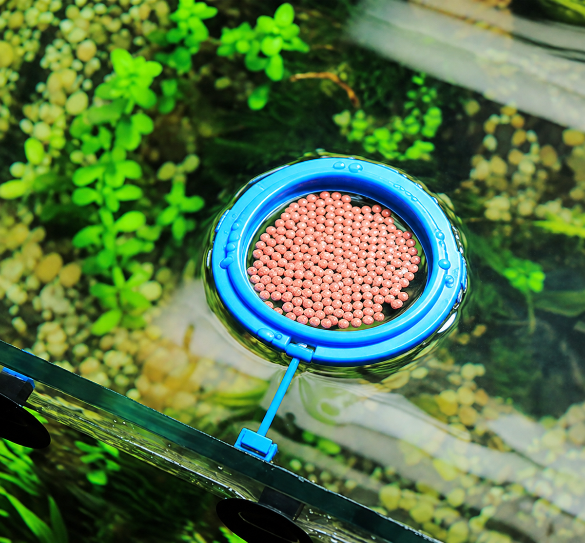 Floating Feeder Ring